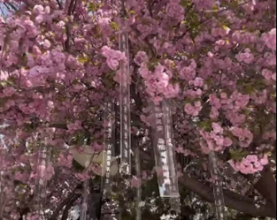 pg电子官网